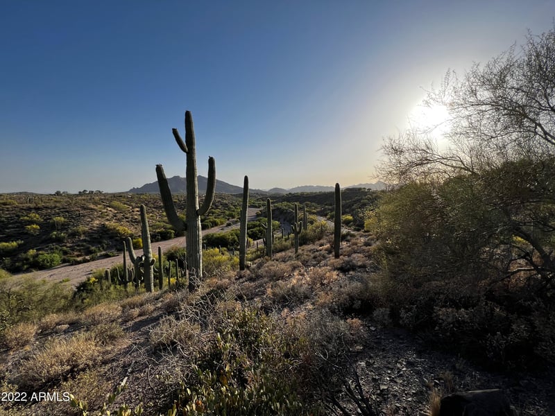 39585 Ocotillo Ridge Dr #1, Carefree, AZ 85377