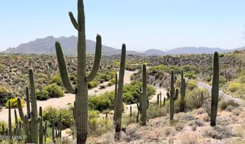 39585 Ocotillo Ridge Dr #1, Carefree, AZ 85377