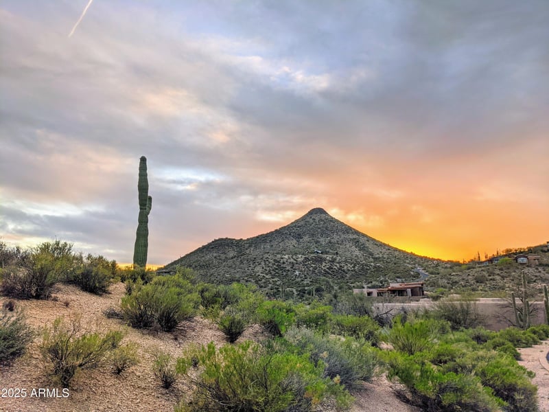 39586 98th Way #9, Scottsdale, AZ 85262