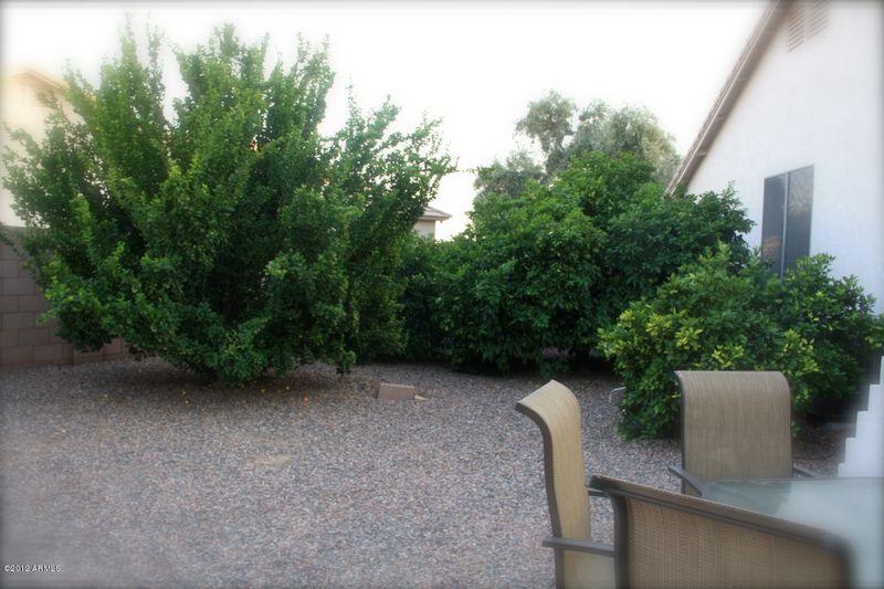 3960 E Cullumber St, Gilbert, AZ 85234