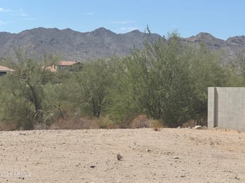 3972 Golf Dr #103, Buckeye, AZ 85396