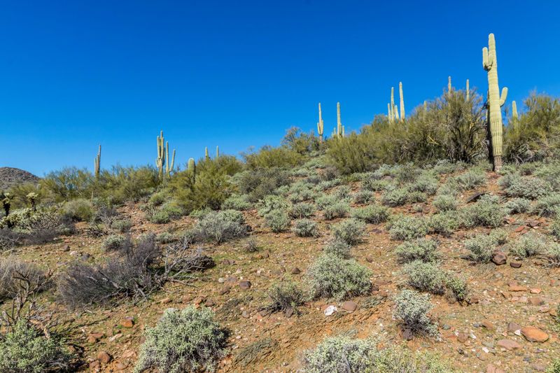 39851 N Old Stage Rd, Cave Creek, AZ 85331