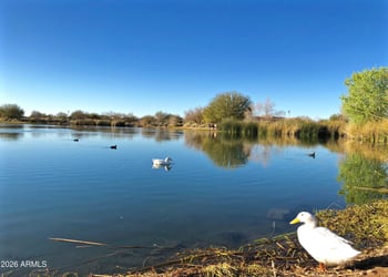 3994 Grand Canyon Pl, Chandler, AZ 85249