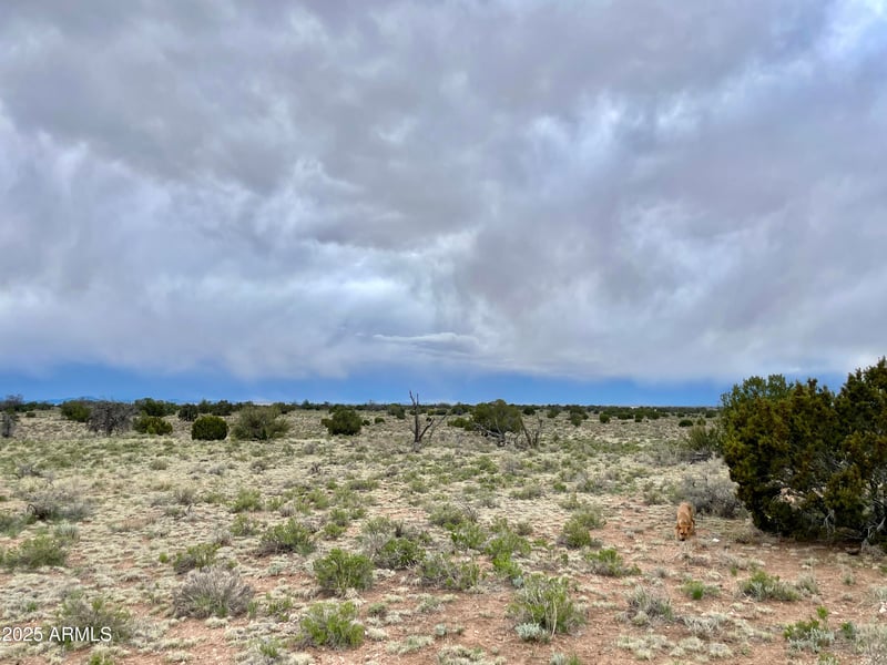 3998 Red Butte Rd #161, Williams, AZ 86046