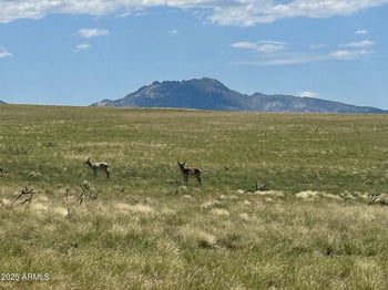 40 A1 Norma Rd -- #40-A1, Prescott Valley, AZ 86315