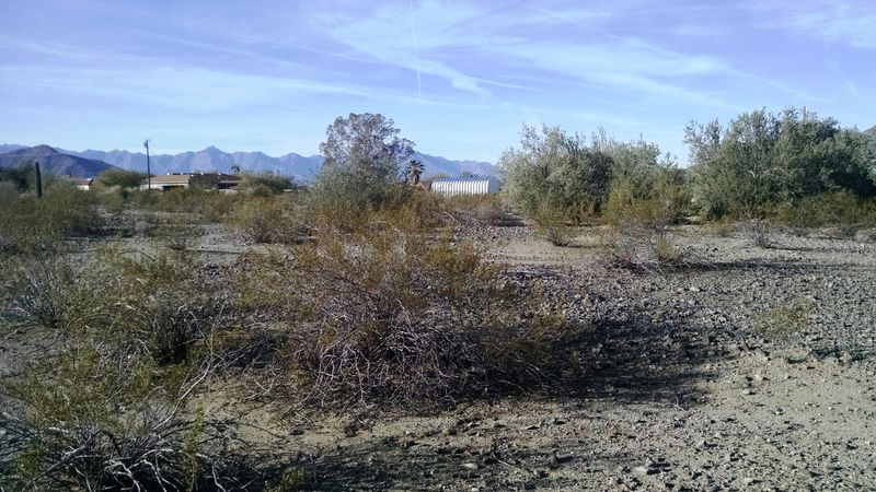 4002 W Carver Rd #., Laveen, AZ 85339