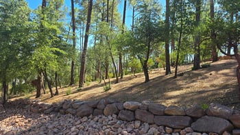 401 Grapevine Dr #525, Payson, AZ 85541