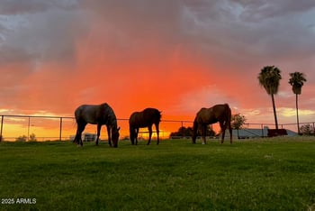 40105 Taylor St, San Tan Valley, AZ 85140