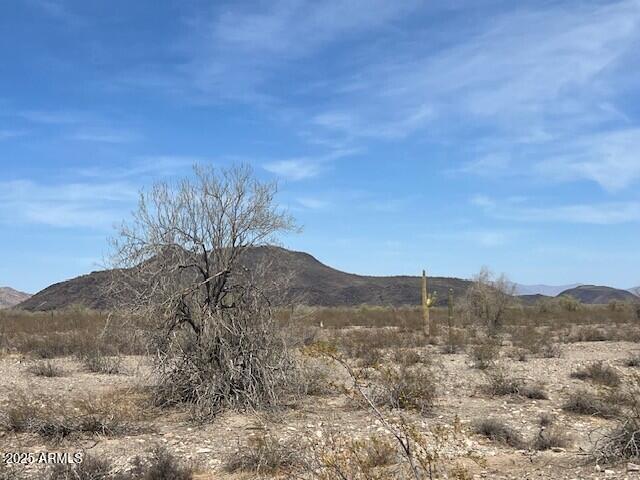 401st Ave Mountain View Rd #13, Tonopah, AZ 85354