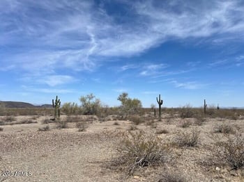 401st Ave Mountain View Rd #13, Tonopah, AZ 85354