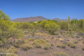 40300 Spur Cross Rd #-, Cave Creek, AZ 85331