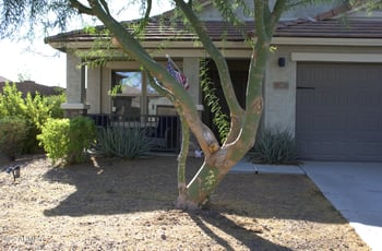 4036 183rd Ln, Goodyear, AZ 85338