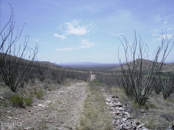 405-77-109 Wilderness Trl #109, Douglas, AZ 85067
