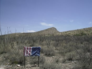 405-77-109 Wilderness Trl #109, Douglas, AZ 85067