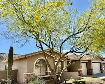 40533 Cross Timbers Trl, Anthem, AZ 85086