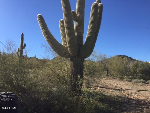 40585 N 51 St #-, Cave Creek, AZ 85331