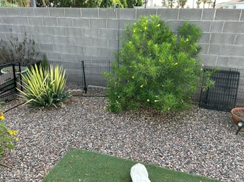 4065 University Dr #565, Mesa, AZ 85205