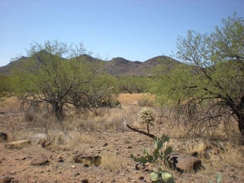 40710 N 54th St, Cave Creek, AZ 85331