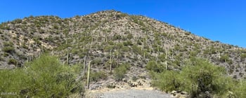40800 Brangus Rd #-, Scottsdale, AZ 85262