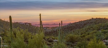 40806 94th St #273, Scottsdale, AZ 85262