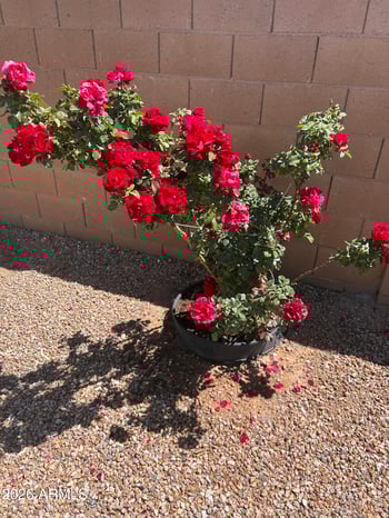 40831 Shaver Dr, Maricopa, AZ 85138