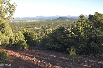 41 County Rd N3127 -- #-, Vernon, AZ 85940