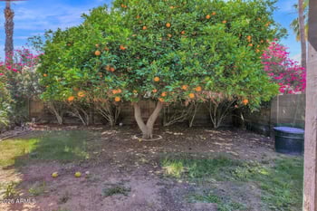 410 Jay St, Chandler, AZ 85225