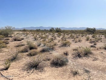 4113 312th Ave #141, Buckeye, AZ 85396