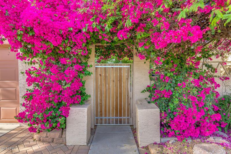 4118 E Covina St E, Mesa, AZ 85205