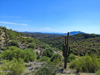 41197 Longhorn Dr #-, Scottsdale, AZ 85262