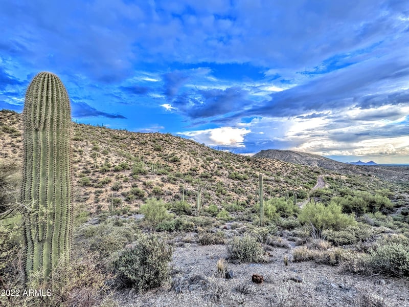 41197 Longhorn Dr #-, Scottsdale, AZ 85262
