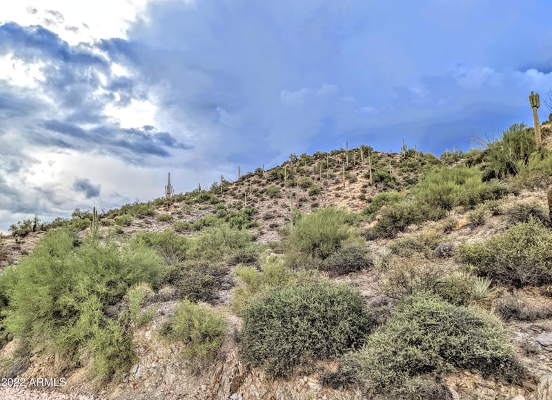 41197 Longhorn Dr #-, Scottsdale, AZ 85262