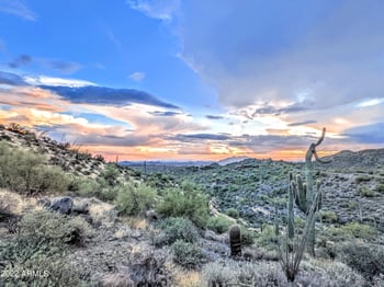 41347 Longhorn Dr #-, Scottsdale, AZ 85262