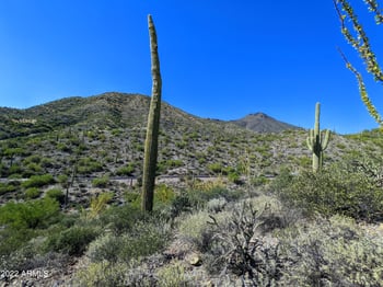 41347 Longhorn Dr #-, Scottsdale, AZ 85262