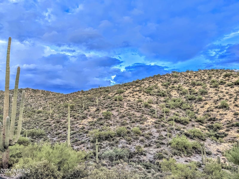 41347 Longhorn Dr #-, Scottsdale, AZ 85262