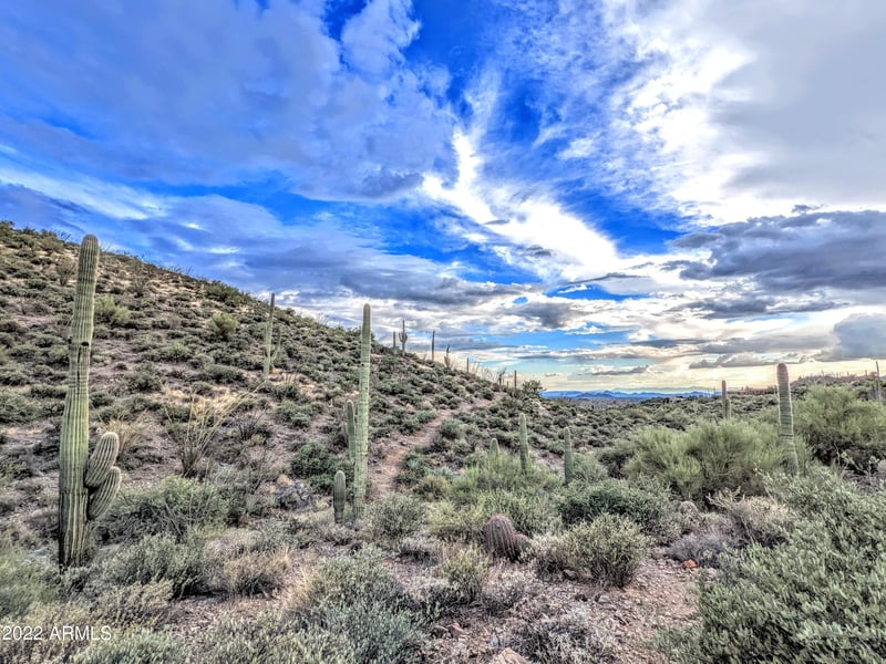 41347 Longhorn Dr #-, Scottsdale, AZ 85262