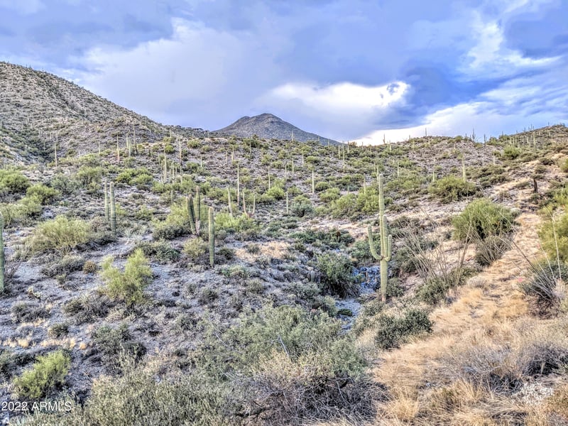 41347 Longhorn Dr #-, Scottsdale, AZ 85262