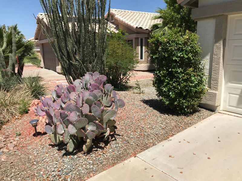 4146 E Tanglewood Dr, Phoenix, AZ 85048