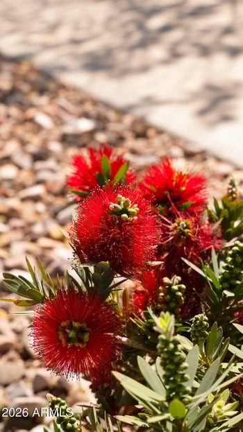 4159 Cynthia St, Gilbert, AZ 85295