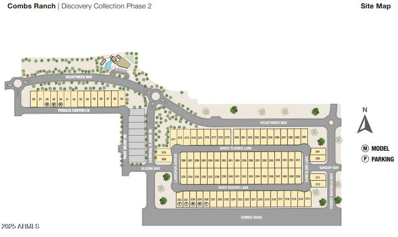 4161 Fairy Duster Ln, San Tan Valley, AZ 85140