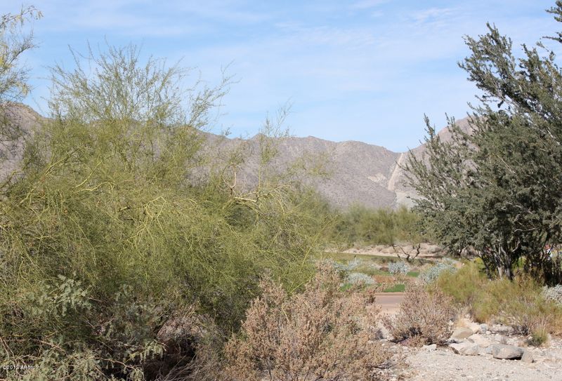 4164 N Golf Dr #111, Buckeye, AZ 85396