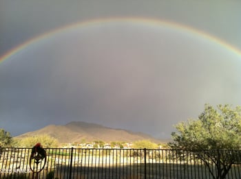 41717 Moss Springs Ct, Anthem, AZ 85086