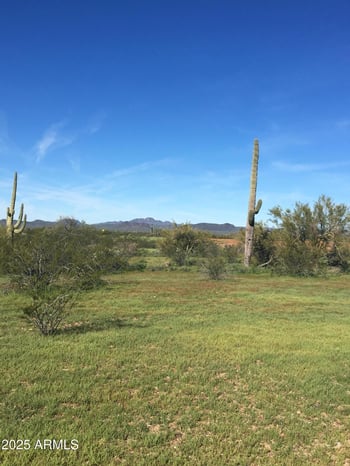 417XX 252nd Ave #-, Morristown, AZ 85342
