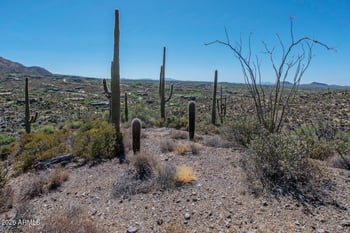 41965 Charbray Dr #24, Scottsdale, AZ 85262