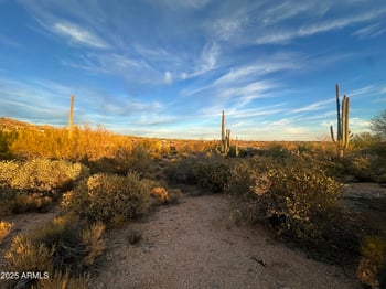 41966 Stone Cutter Dr #25, Scottsdale, AZ 85262