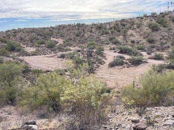 41XX2 276th Ave #2, Morristown, AZ 85342