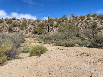 41XX3 276th Ave #3, Morristown, AZ 85342