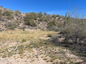 41XX3 276th Ave #3, Morristown, AZ 85342