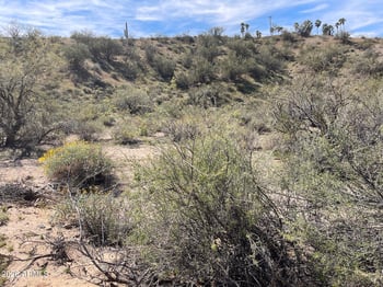 41XX3 276th Ave #3, Morristown, AZ 85342