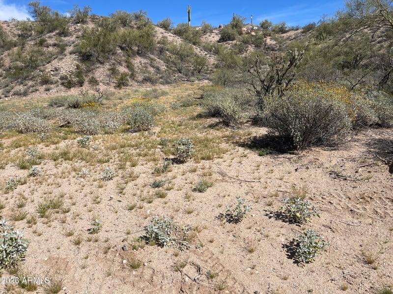 41XX3 N 276th Ave Lot 3, Morristown, AZ 85342